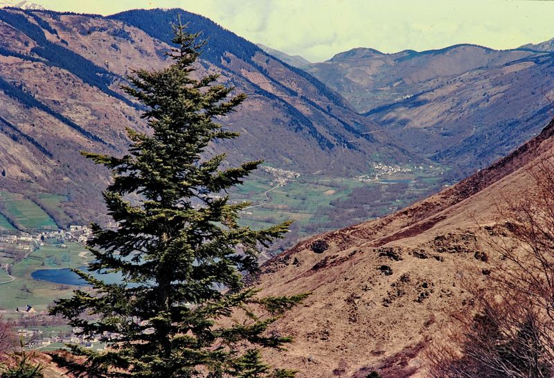 Pyrenees