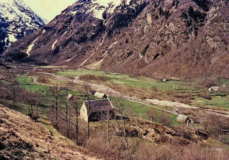 Pyrenees