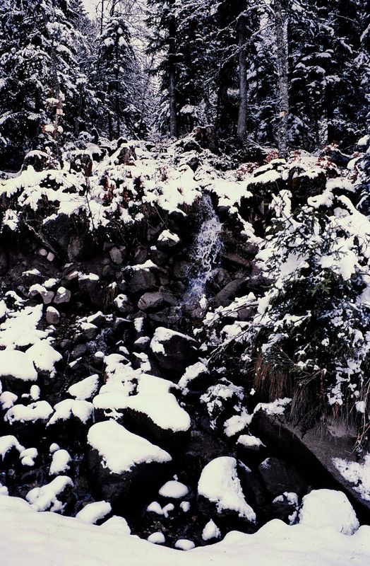 Pyrenees