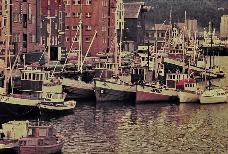 Bergen