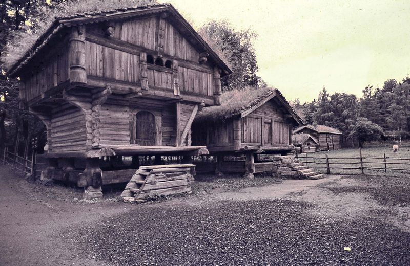 Oslo: archaeology park.