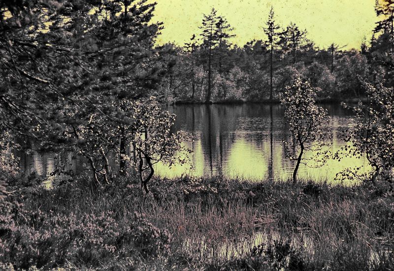 Lac near Marianne's house. 
