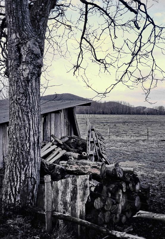 Montauban, Albi or Saint-Gaudens.