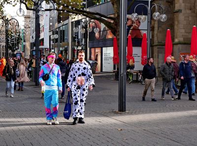 g13/39/1151039/3/173203869.ba51149c.JPEG