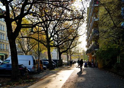 g13/39/1151039/3/173214433.d41e17d7.JPEG