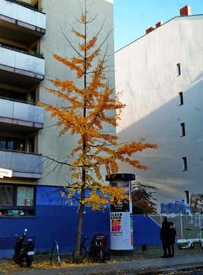 g13/39/1151039/3/173214438.b11c165e.JPEG