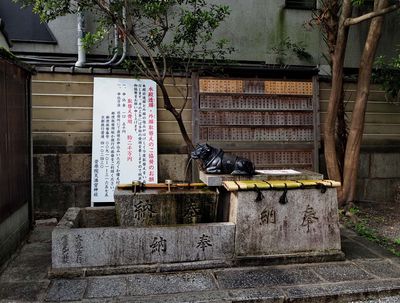 g13/39/1151039/3/173722772.b8c4a6e7.JPEG