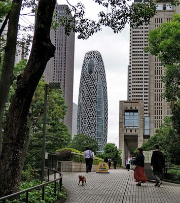 g13/39/1151039/3/173746027.b8913b71.JPEG