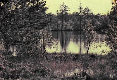 g13/39/1151039/3/175826881.61f0e19b.JPEG