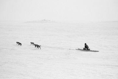 2025 Snowfest x Rainville Photographers day 4 winner-1.jpg