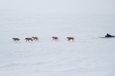 2025 Snowfest x Rainville Photographers day 4-19.jpg