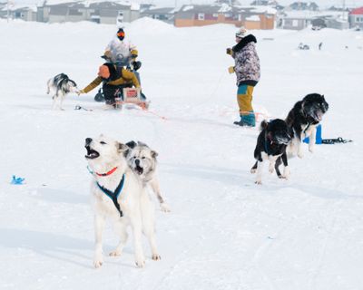 2025 Snowfest x Rainville Photographers day 4-2.jpg