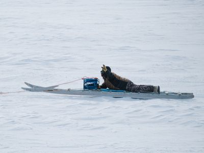 2025 Snowfest x Rainville Photographers day 4-21.jpg