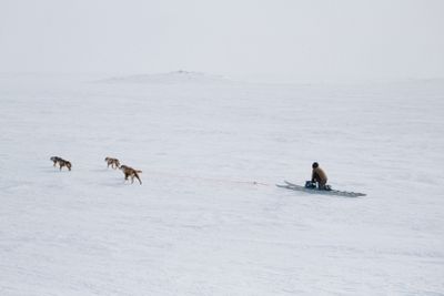 2025 Snowfest x Rainville Photographers day 4-23.jpg