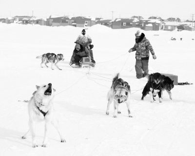 2025 Snowfest x Rainville Photographers day 4-3.jpg