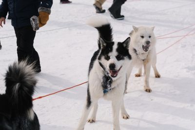 2025 Snowfest x Rainville Photographers day 4-33.jpg