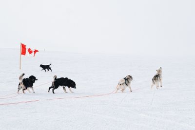 2025 Snowfest x Rainville Photographers day 4-4.jpg