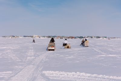 IMG_7318.jpg