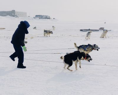 IMG_5925.jpg
