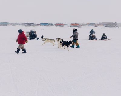 IMG_6010.jpg