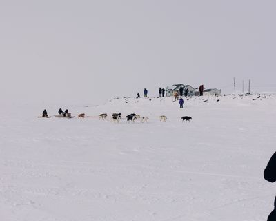 IMG_6206.jpg