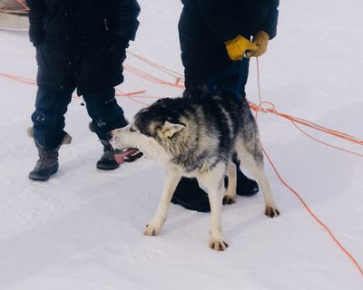 IMG_6218.jpg