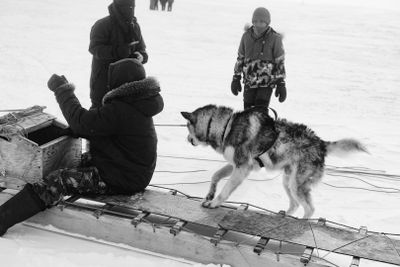 IMG_6241.jpg