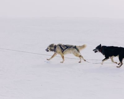 IMG_6268.jpg
