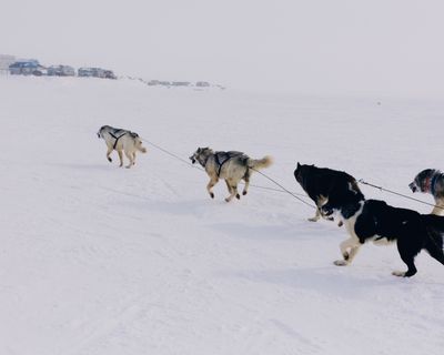 IMG_6270.jpg