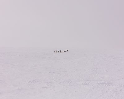 IMG_6292.jpg