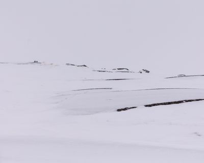 IMG_6472.jpg
