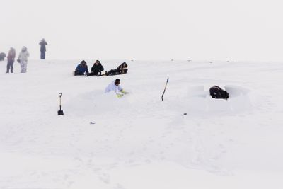 IMG_7666.jpg