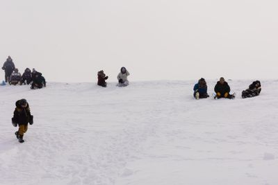 IMG_7695.jpg