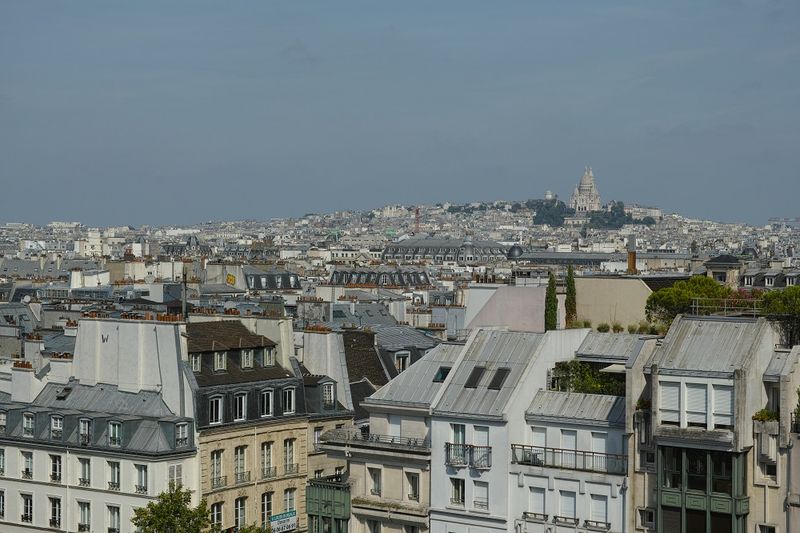 Rooftop of Paris