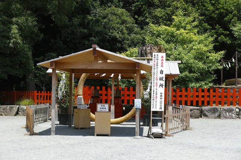 g13/39/263039/2/174896693.a8536560.JPEG