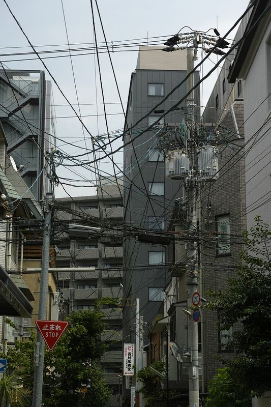 g13/39/263039/2/174974641.84d33602.JPEG
