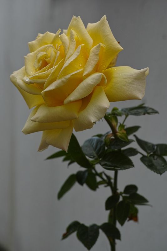 g13/39/263039/2/174981228.2b86c8b6.JPEG