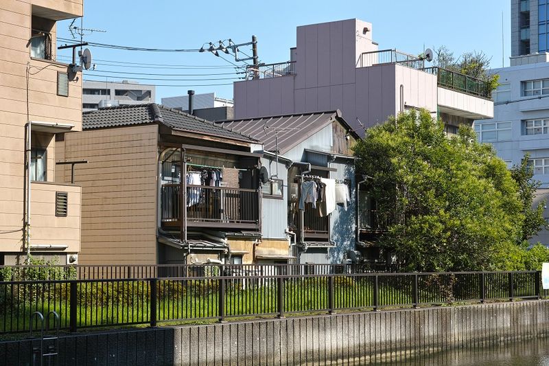 g13/39/263039/2/175465278.875e7e41.JPEG