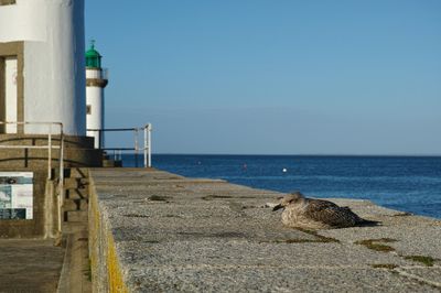 g13/39/263039/3/175445377.50d65497.JPEG