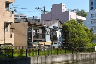 g13/39/263039/3/175465278.41be2dec.JPEG