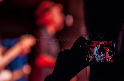 gresiblues24-0104-13.jpg