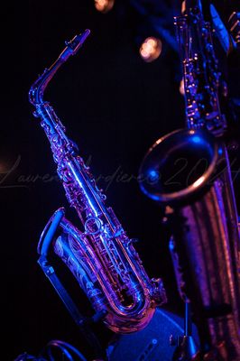 gresiblues24-0043-1.jpg