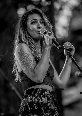 gresiblues24-0300-4.jpg