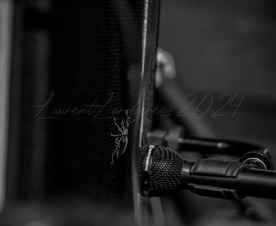 gresiblues24-0084-4.jpg
