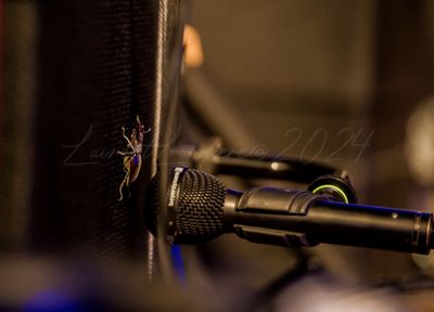 gresiblues24-0086-5.jpg