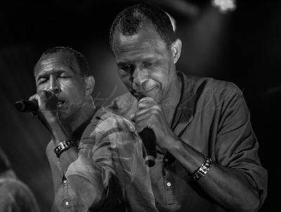 gresiblues24-0231-11.jpg