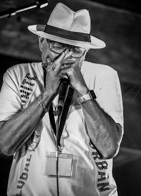 gresiblues24-0032-15.jpg