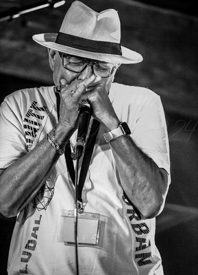 gresiblues24-0033-16.jpg