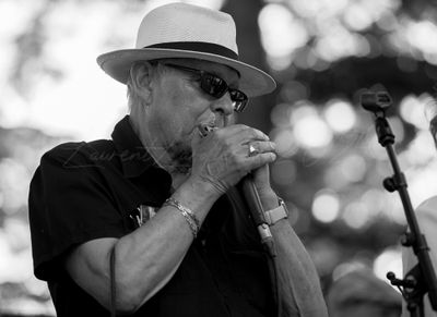 gresiblues24-0257-7.jpg