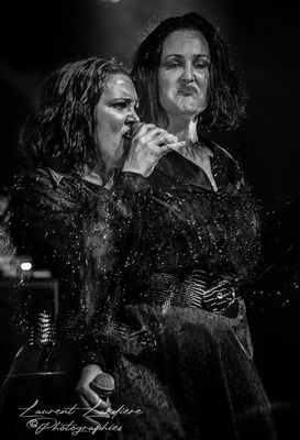 04072025-sans titre-1520.jpg